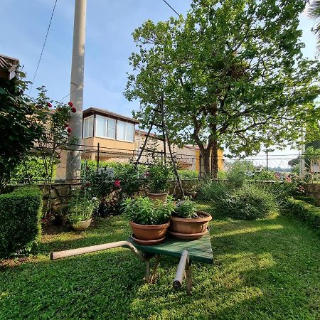 Apartment Felice Novigrad Istria Exteriér fotografie