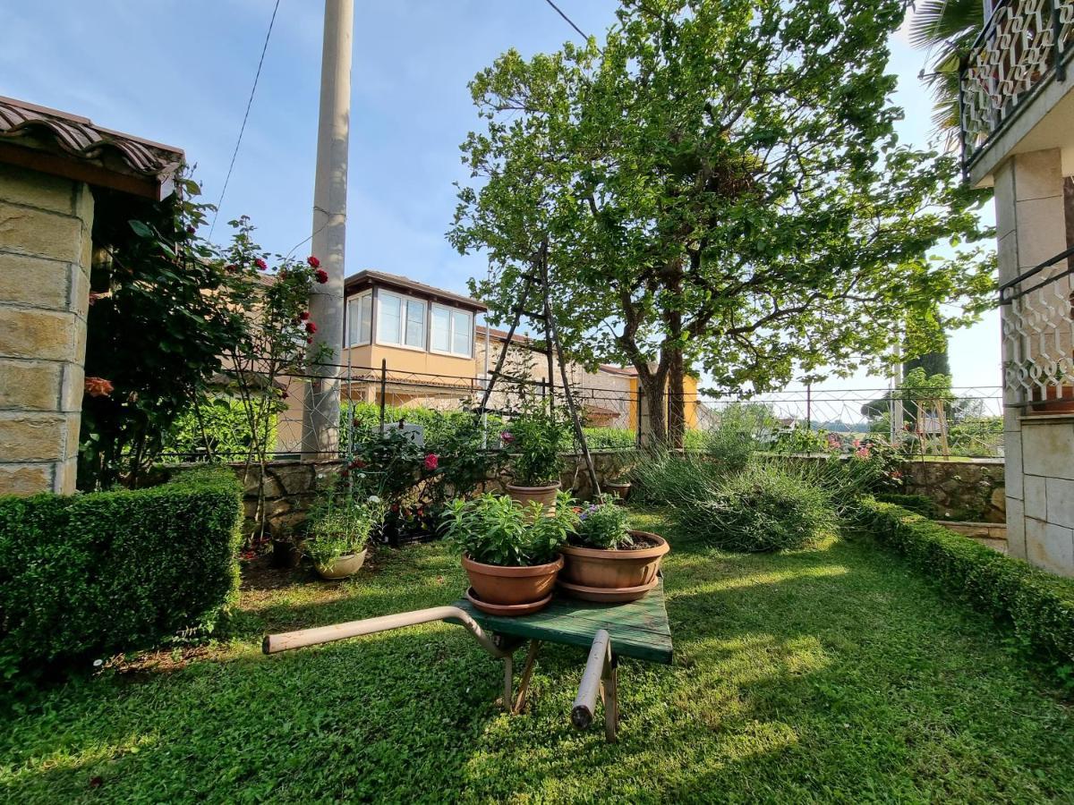 Apartment Felice Novigrad Istria Exteriér fotografie