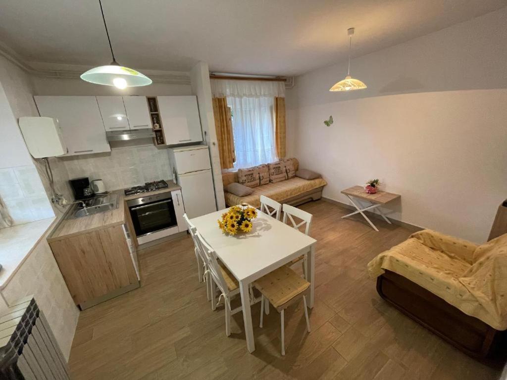 Apartment Felice Novigrad Istria Exteriér fotografie